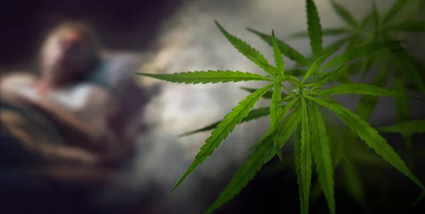 Cannabis Plantering Med Rök Mörkt Rum Med Suddig Manlig Sömn — Stockfoto