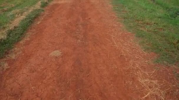 乡间道路上移动弹射土路 — 图库视频影像