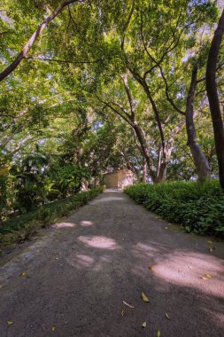 Çakıl yolu yapraklı bir parktaki küçük bir binaya çıkıyor.