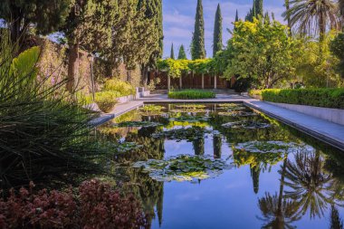 Huzurlu bir bahçe manzarası etrafındaki ağaçları ve gökyüzünü yansıtan bir gölet.