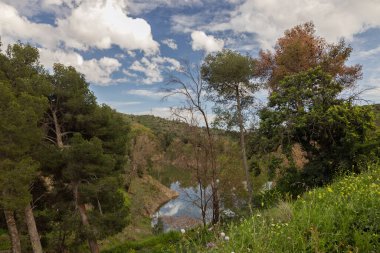 Güzel göl yemyeşil bitki ve çam ağaçlarıyla çevrili güneşli bir günde bulutlu gökyüzünü yansıtıyor.