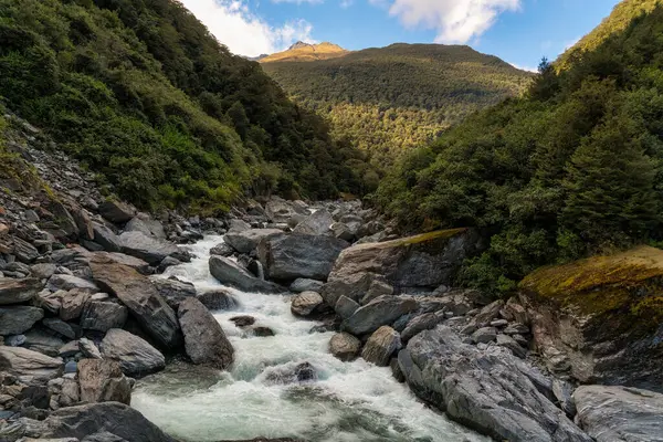 Lush native forest in  Haast Pass in NZ with a powerful raging river flowing though the ravine