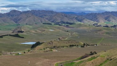 Kırsal Yeni Zelanda 'da yeşil yuvarlanan tepeler tarım arazileri ve tarımsal alanlardan oluşur