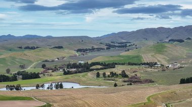 Kırsal Yeni Zelanda 'da yeşil yuvarlanan tepeler tarım arazileri ve tarımsal alanlardan oluşur