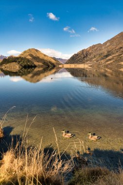 Queenstown yakınlarındaki dağlardaki Moke Gölü 'nün durgun sularında kristal berrak bir dağ yansıması.