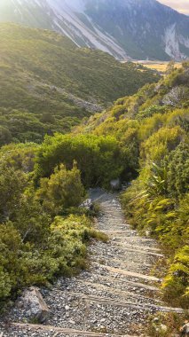 Sealy Tarns 'ın dağ manzarası Aoraki Dağı Ulusal Parkı' nda yürüyor.