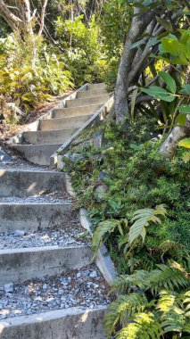 Sealy Tarns Pisti 'ndeki 3300 adımdan bazıları Cook Dağı Ulusal Parkı' nda yürüyor.