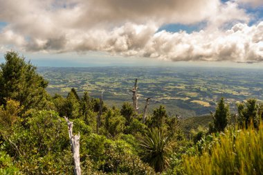 Anavatan ormanlarından volkanik Taranaki Dağı 'nın yamaçlarından gelen kıyı manzaralarına doğru yürürler.