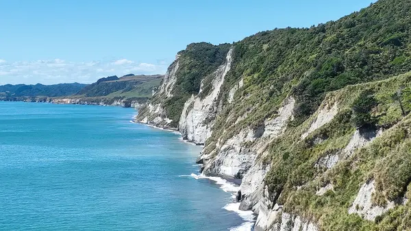 Taranaki kıyısındaki tarımsal otlaklar ve otlaklar