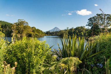 Mangamahoe Gölü manzaralı arka planda volkanik Taranaki Dağı
