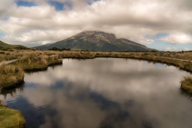 Taranaki dağının yamaçlarındaki yemyeşil çalılar Alp Pouakai Tarnlarına tırmanıyor.