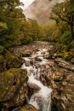Te Anau Milford otoyolu üzerindeki Claddau nehrinde nehir akıntısı