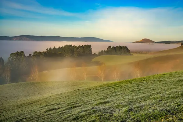 Vadide yoğun sis, tepelerin sisi ve tarlalarda buz. Gündoğumunda Berwick 'in kırsal tepelerinde (Dunedin' in güney batısında)