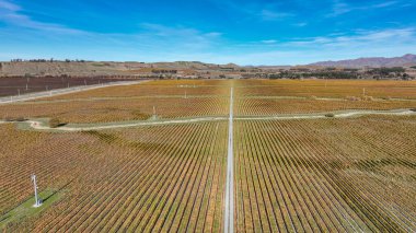 Çiftçi tarafından yaratılan modelleri vurgulayan tarım alanlarının insansız hava aracı perspektifi