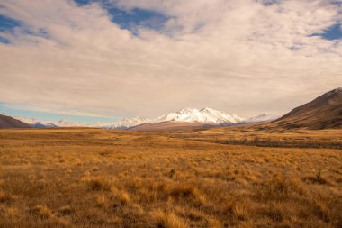 Ashburton Dağları 'ndaki Hakatere Vadisi ve güney Alpleri gibi kurak çöllerin vahşi doğası.