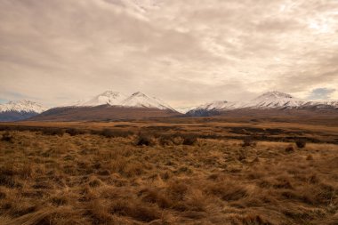 Ashburton Dağları 'ndaki Hakatere Vadisi ve güney Alpleri gibi kurak çöllerin vahşi doğası.