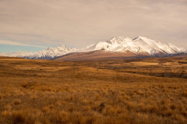 Ashburton Dağları 'ndaki Hakatere Vadisi ve güney Alpleri gibi kurak çöllerin vahşi doğası.
