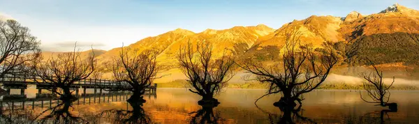 Glenorchy 'deki söğüt ağaçlarının panoramik manzarası