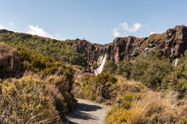 Tepenin üstünde durmuş Taranaki Şelaleleri 'ne, Ulusal Park' a bakıyorum.