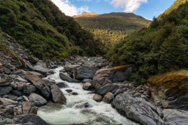 The Haast river rapidly flowing through the mountains and alpine forest  near Hells Gate, Haast Pass West Coast NZ clipart