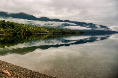 Rotoiti Gölü 'nün sakin yüzeyinde ördekler, St Arnaud, Nelson