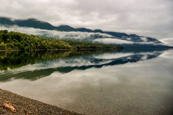 Rotoiti Gölü 'nün sakin yüzeyinde ördekler, St Arnaud, Nelson