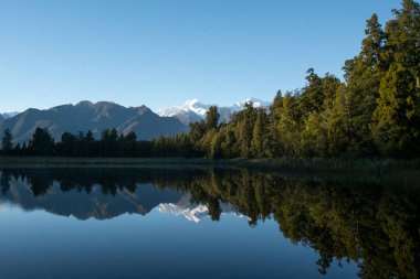 Hiking through lush native bush pedestrian footpath around the lakeside of Lake Matheson clipart