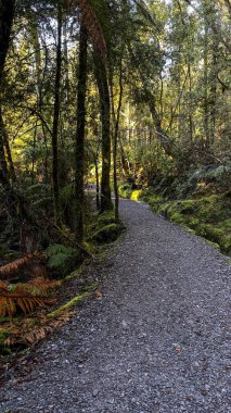 Matheson Gölü 'nün göl kenarındaki çayırlarda yürüyüş yapmak.