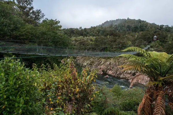 Buller nehri, NZ 'nin en uzun asma köprüsüne yakın Buller Boğazı' nın yukarısında yer alıyordu.