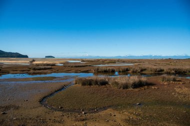 NZ 'nin en büyük milli parkı, Able Tasman Nelson Bölgesinde.