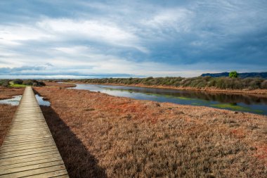 The Sewage treatment ponds on the outskirts of Blenheim in the Nelson region clipart