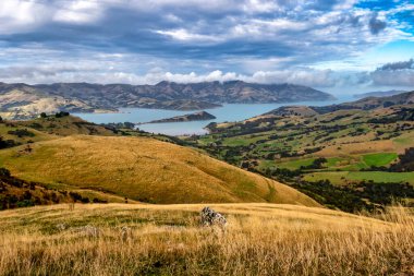 Rural agricultural farmland  on the rolling hills of  Banks Peninsula Christchurch clipart