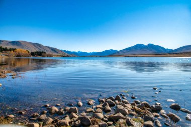 Ashburton tepelerindeki Alp Gölleri kıyısındaki kurak kırsal bölge Hakatere koruma alanı