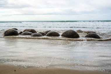 Dunedin 'in kuzeyinde ve kayalıklarda eşsiz yuvarlak kaya Moeraki kayaları var.