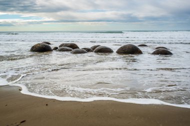Dunedin 'in kuzeyinde ve kayalıklarda eşsiz yuvarlak kaya Moeraki kayaları var.