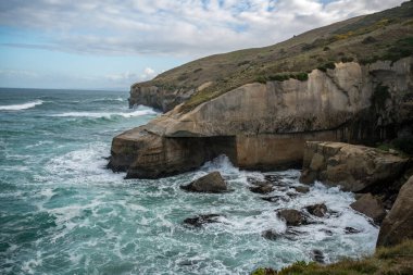 St Clair Dunedin 'in güneyinde yer alan tünel plajında, deniz kenarından oyulmuş kumtaşı kayalıkları, kaya kemerleri ve mağaralar var.