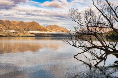 Queenstown ve Glenorchy arasında Wakatipu Gölü kıyısı boyunca sürüş sahnesi