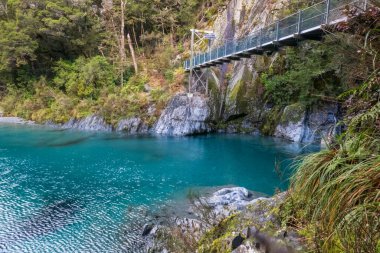 Mavi kaplıcalardaki saf turkuaz su Haast Geçidi 'ndeki Makaroa yakınlarında Batı Yakası' na doğru yol alıyor.