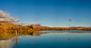 Wairepo 'nun kolu ve parlak sonbahar rengi, Ruataiwha Gölü, Twizel' de.