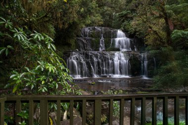 Ormanda ve Catlins 'in yemyeşil çalılıklarında birkaç şelalede yürüyüş.