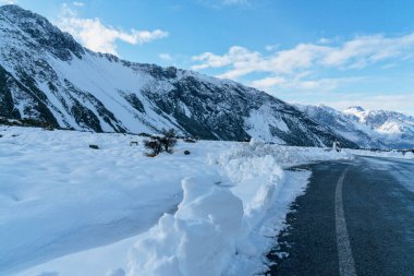 Aoraki Dağı Ulusal Parkı 'na giden yolda taze kar damlası.