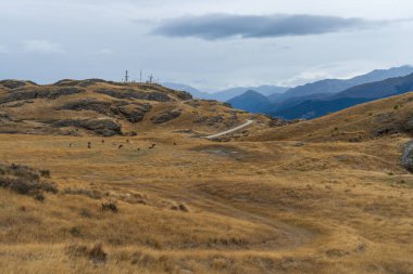 Kelvin Heights üzerinde çalışan bir geyik çiftliğinden Queenstown ve Wakatipu havzasının panoramik manzarası