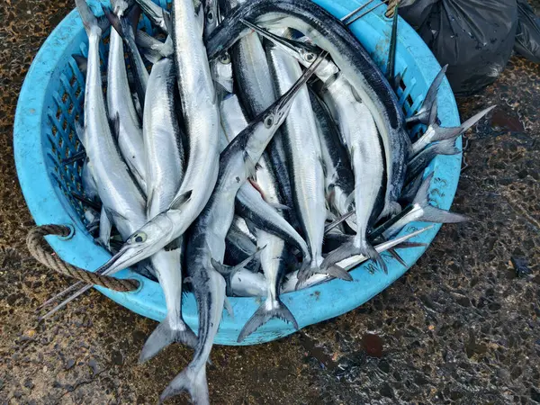 Корзина Рыбы Продажи Рыбном Рынке Лицензионные Стоковые Фото