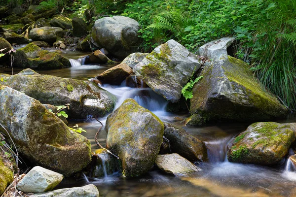 エンドレスストリーム 山の峡谷の苔むした石の間を流れる絵のように美しい小さな速い山の川 — ストック写真