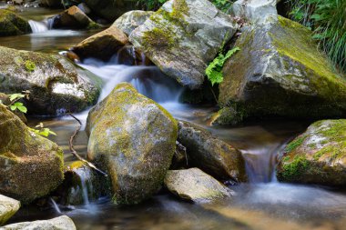 Sonsuz akıntı. Resimli, küçük, hızlı dağ nehri dağ geçidinde yosunlu taşların arasında akıyor.. 