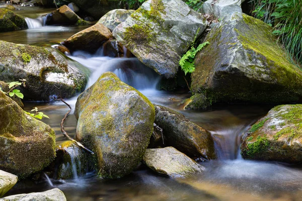 Sonsuz akıntı. Resimli, küçük, hızlı dağ nehri dağ geçidinde yosunlu taşların arasında akıyor.. 
