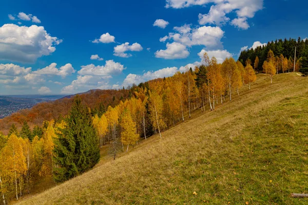 Prachtige Herfst Het Karpaten Gebergte Uitzicht Het Gouden Bos Helling — Stockfoto