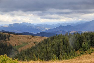 Dağ sonbahar manzarası. Dağ tepelerinin arka planında yürüyüş parkuru. Kostrycha sıradağları. Karpatlar. Ukrayna. Turizm merkezi, aktif turizm