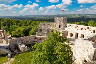 Yeşil tepedeki antik Tenczyn şatosunun genel manzarası, açık havada. Rudno köyündeki ortaçağ savunma kalesi. Polonya. Turistik bölge