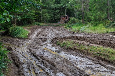 Kirli bir orman yolunda dozer, orman sürüngeni traktörü. Ukrayna 'daki Karpat dağında kereste hasadı. Ağaç kesme ekipmanları, ağır ekipman